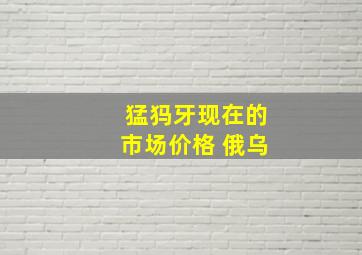 猛犸牙现在的市场价格 俄乌